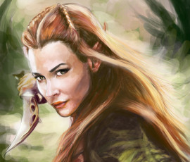 Картинка рисованное кино девушка шатенка колец властелин