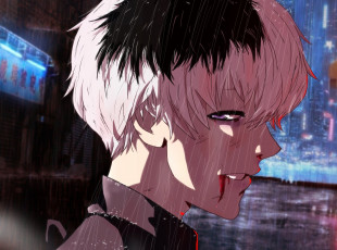 Картинка аниме tokyo+ghoul токийский гуль канеки кен арт