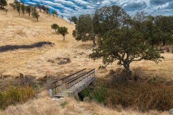 Картинка природа дороги мостик тропинка
