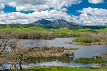 Картинка природа реки озера лес река