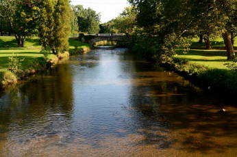 Картинка природа реки озера деревья вода мостик