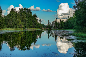 Картинка природа реки озера река лес