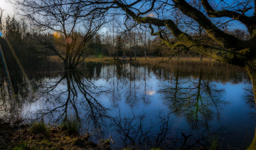 Картинка природа реки озера озеро лес