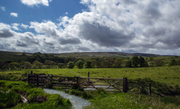 Картинка природа дороги тропинка поле