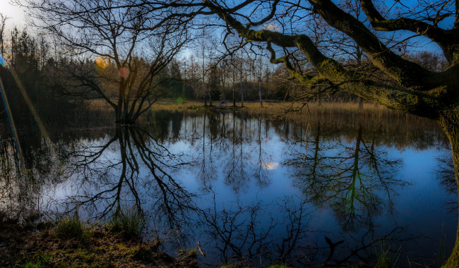 Обои картинки фото природа, реки, озера, озеро, лес