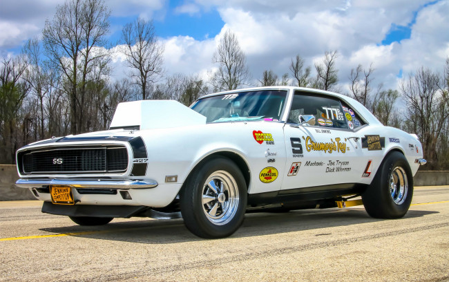 Обои картинки фото автомобили, camaro