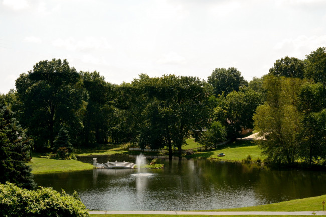 Обои картинки фото природа, парк, фонтан, мостик, деревья