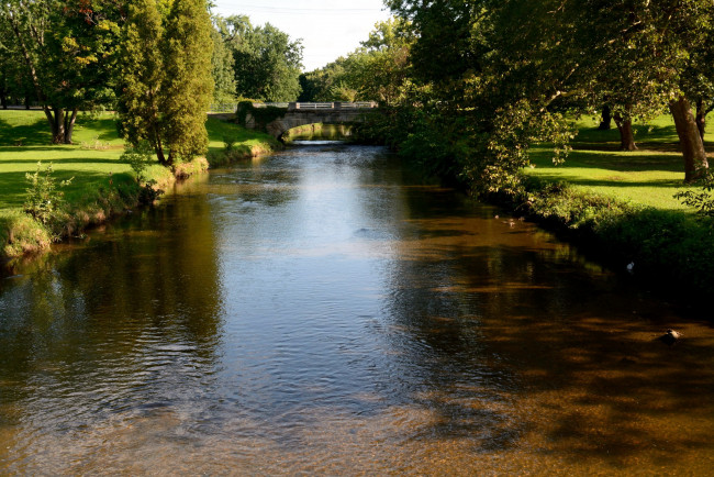 Обои картинки фото природа, реки, озера, деревья, вода, мостик