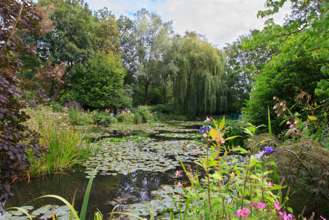 Обои картинки фото природа, реки, озера, река, лес