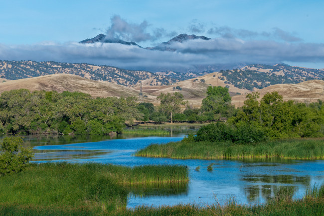 Обои картинки фото природа, реки, озера, река, лес