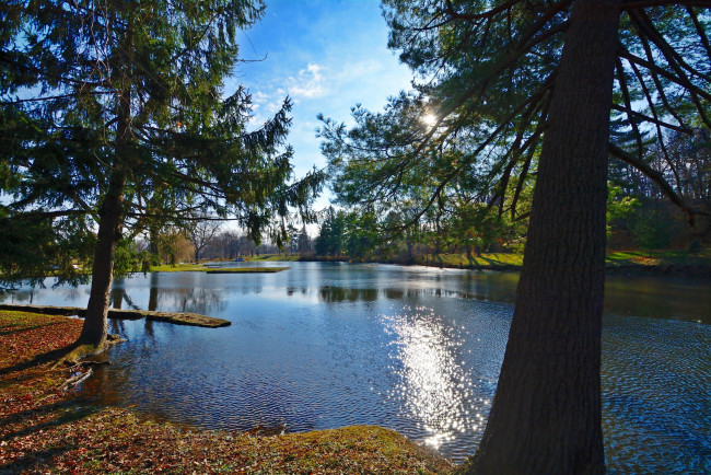 Обои картинки фото природа, реки, озера, сосны