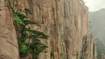 Картинка природа горы скала туман