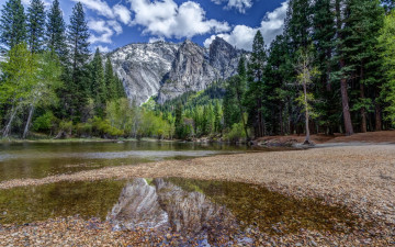 Картинка природа реки озера лес горы река