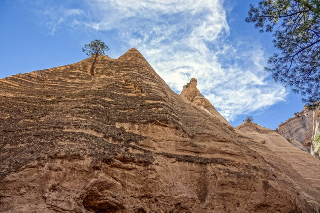 Обои картинки фото природа, горы, деревья, облака