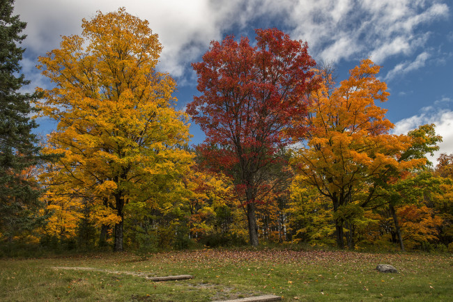 Обои картинки фото природа, лес, осень, горы