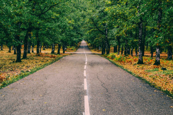 Картинка природа дороги шоссе