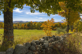 Картинка природа пейзажи простор