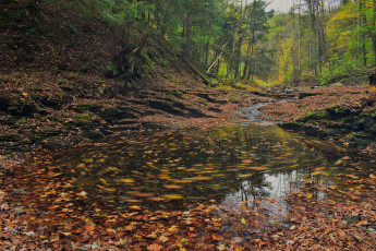 Картинка природа реки озера простор