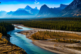 Картинка природа реки озера река лес