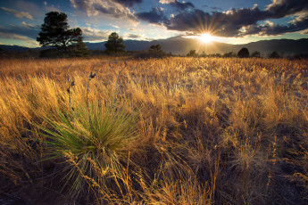 Картинка природа восходы закаты река лес