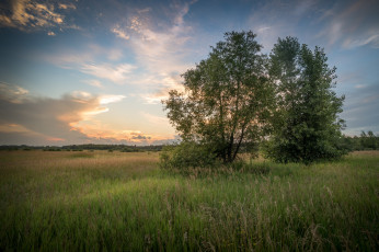 Картинка природа пейзажи простор