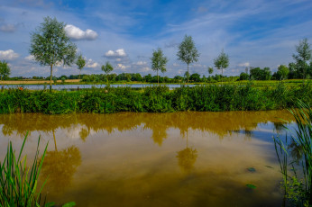 Картинка природа реки озера простор