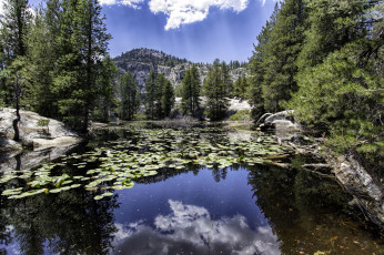 Картинка природа реки озера простор