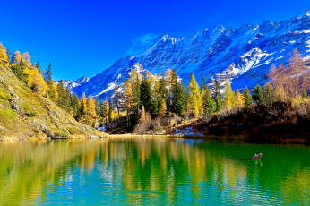 Картинка природа реки озера простор