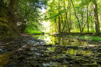 Картинка природа реки озера простор