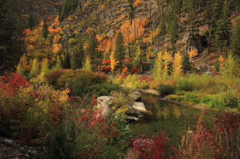 Картинка природа реки озера простор