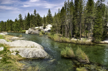 Картинка природа реки озера река лес