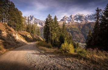 Картинка природа дороги лес река