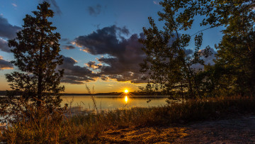 Картинка природа реки озера лес река