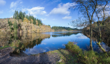 Картинка природа реки озера река лес