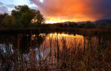 Картинка природа реки озера простор