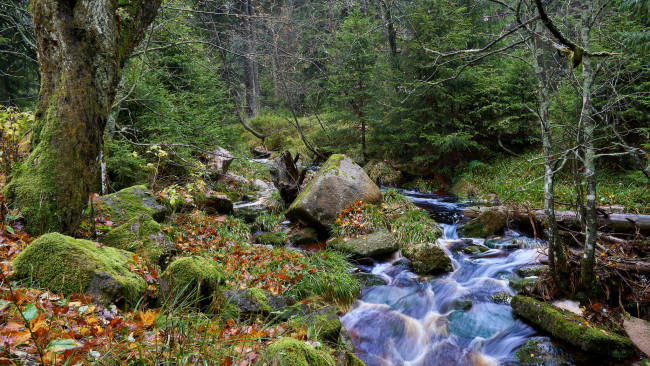 Обои картинки фото природа, реки, озера, простор