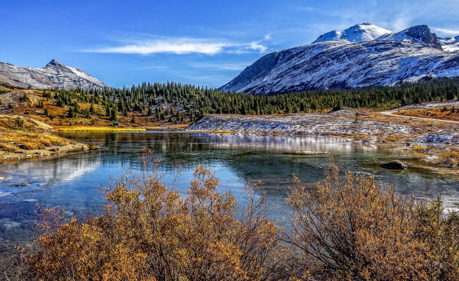 Обои картинки фото природа, реки, озера, река, лес