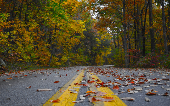 Обои картинки фото природа, дороги, простор