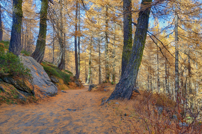 Обои картинки фото природа, дороги, простор