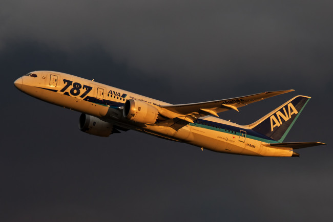 Обои картинки фото авиация, пассажирские самолёты, авиалайнер