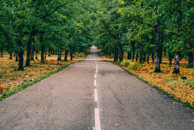 Обои картинки фото природа, дороги, шоссе