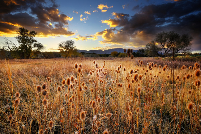 Обои картинки фото природа, луга, простор