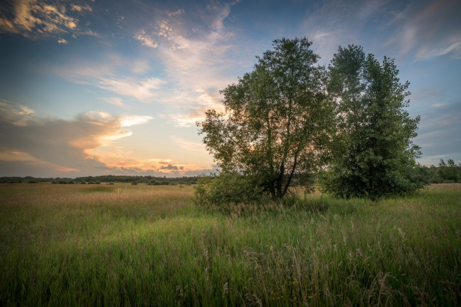 Обои картинки фото природа, пейзажи, простор