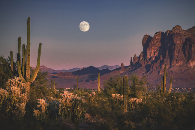 Обои картинки фото природа, пустыни, простор