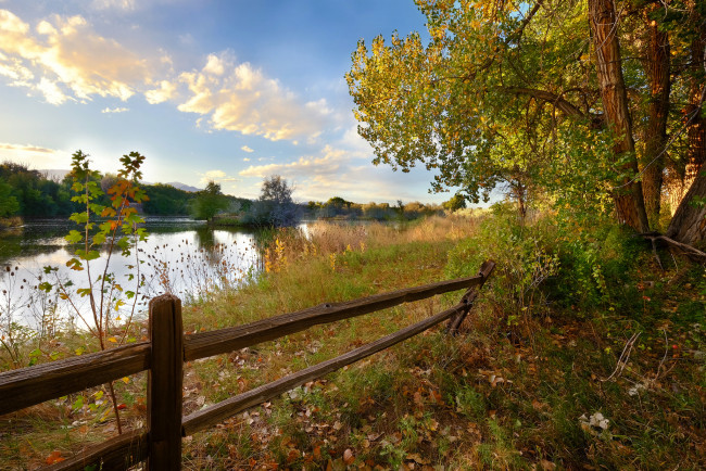 Обои картинки фото природа, реки, озера, река, лес