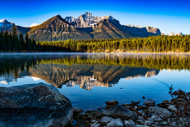 Обои картинки фото природа, реки, озера, река, лес