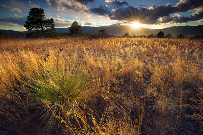 Обои картинки фото природа, восходы, закаты, река, лес