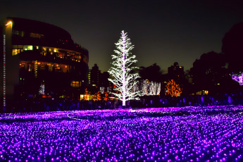 Картинка календари праздники +салюты гирлянда иллюминация город