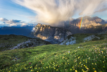 Картинка природа луга простор