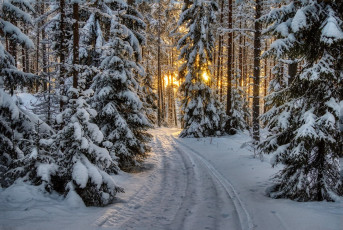 Картинка природа зима простор